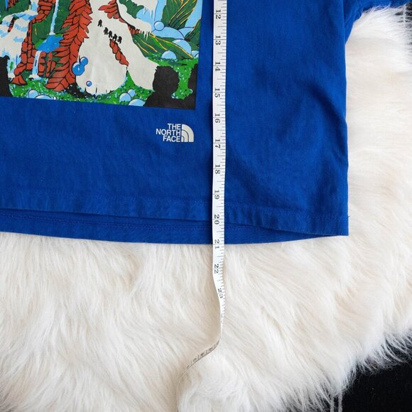The North Face Women Sz L Blue Graphic Colorblock Boxy Tee Cropped - Picture 8 of 8